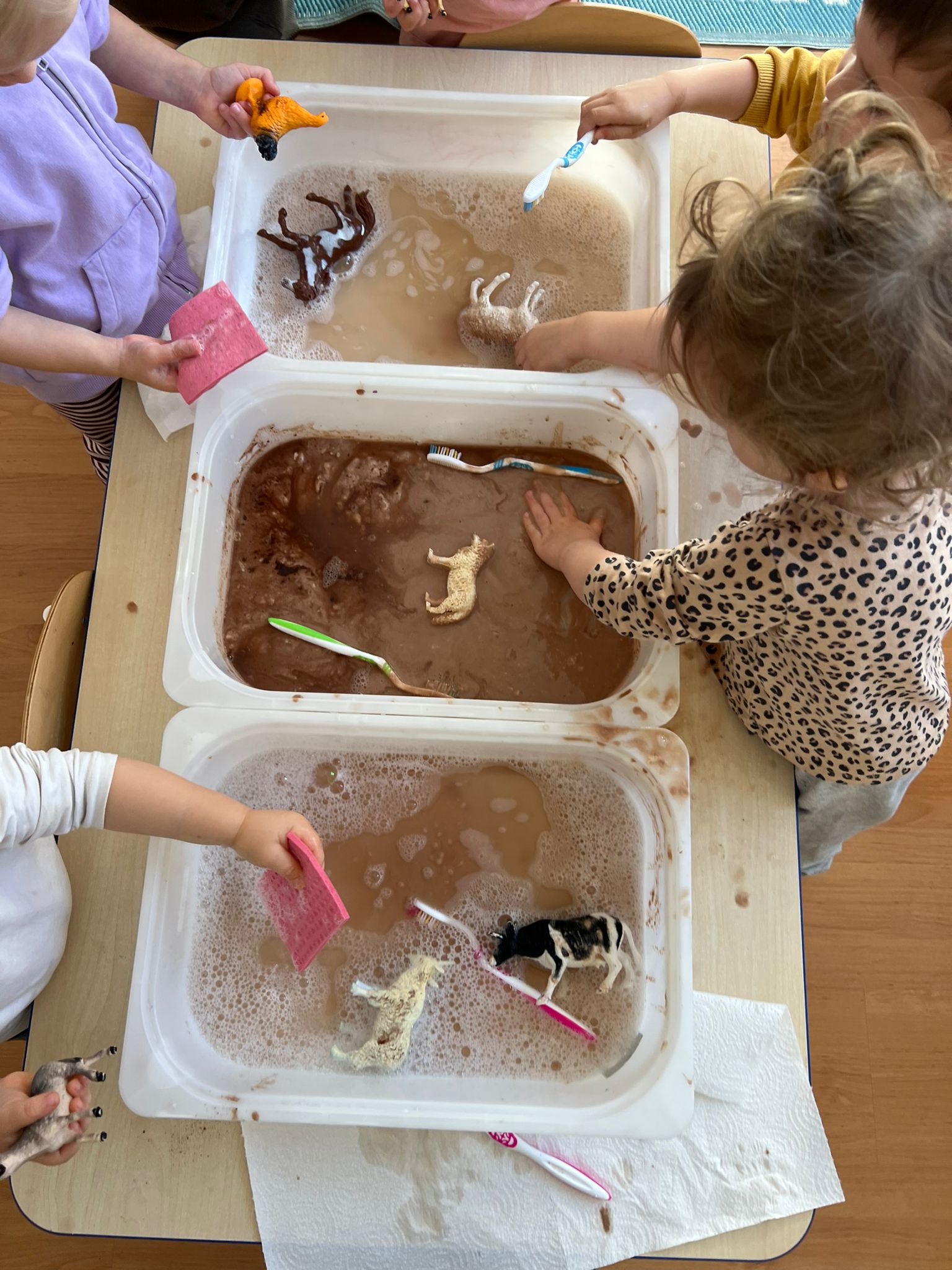 Opiekunki z sercem i pasją